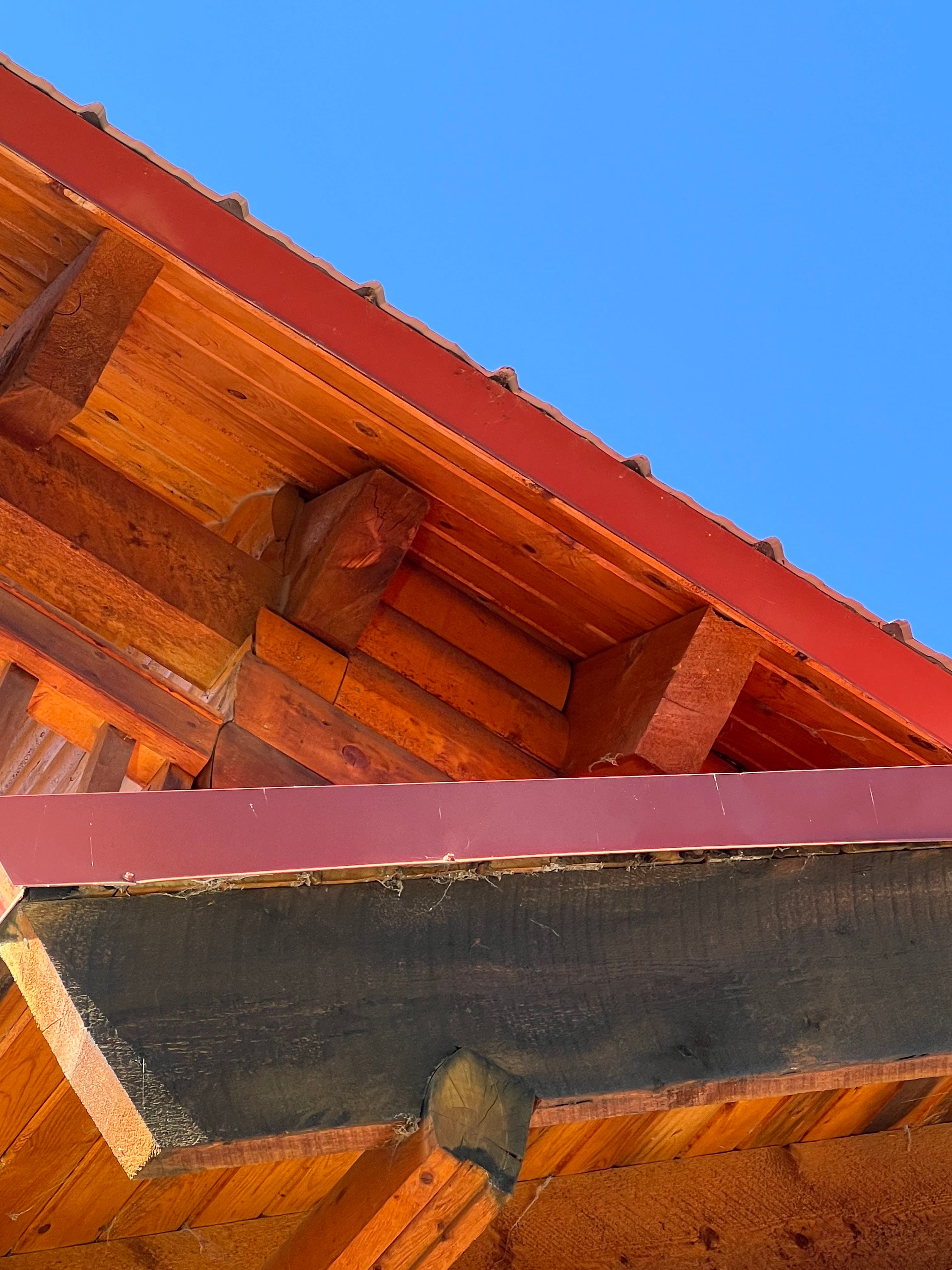 Home eaves and soffit checked for wildlife entry points
