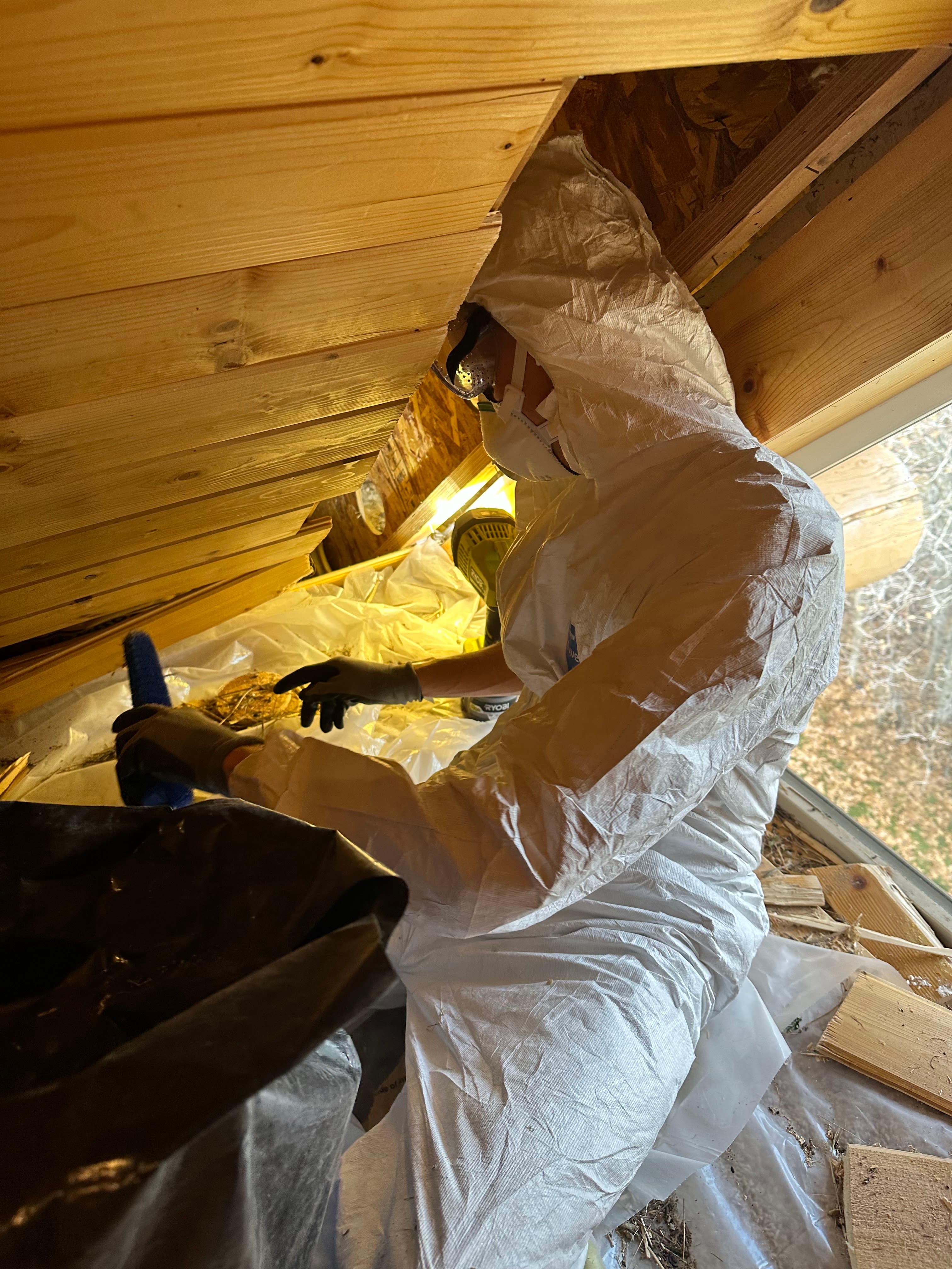 Technician in protective equipment working inside an attic